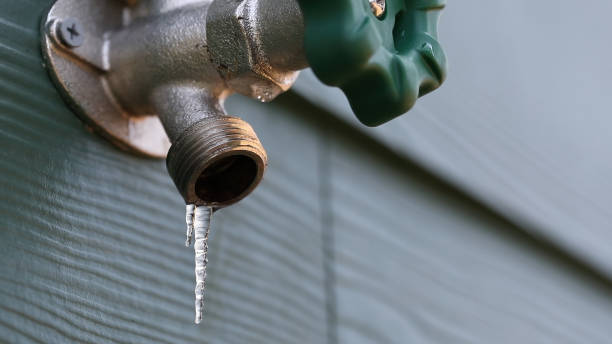 Best Plumbing Inspection Services  in Lake Lorraine, FL
